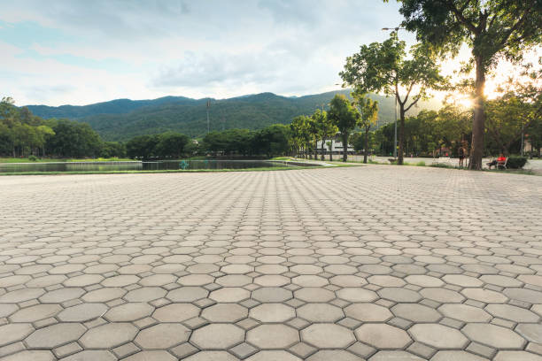 Paver Driveway Replacement in La Palma, CA